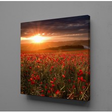 Technopa ÇİÇEK TARLASI KANVAS TABLO - 70x70cm