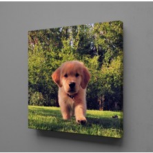Technopa KAHVERENGİ YAVRU KÖPEK KANVAS TABLO - 90x90cm
