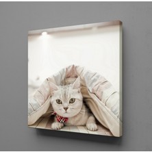 Technopa SEVİMLİ KEDİ KANVAS TABLO - 100x100cm