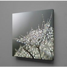 Technopa KARAHİNDİBA ÇİÇEĞİ TÜĞLERİ KANVAS TABLO - 100x100cm