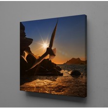 Technopa SAHİLDE UÇAN KUŞ KANVAS TABLO - 40x40cm