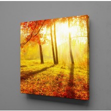 Technopa DOĞA MANZARASI KANVAS TABLO - 130x130cm