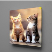 Technopa FARKLI RENKTE KEDİ KANVAS TABLO - 140x140cm