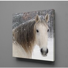 Technopa MASUM AT KANVAS TABLO - 70x70cm