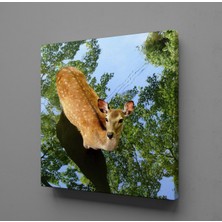 Technopa CEYLAN KANVAS TABLO - 80x80cm