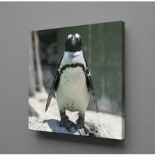 Technopa PENGUEN KANVAS TABLO - 100x100cm