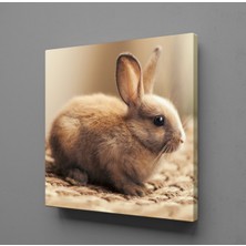 Technopa KAHVERENGİ TAVŞAN KANVAS TABLO - 90x90cm