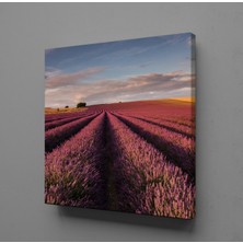 Technopa PEMBE ÇİÇEK TARLASI KANVAS TABLO - 140x140cm