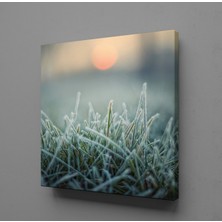 Technopa BUĞDAY BAŞAKLARI KANVAS TABLO - 70x70cm