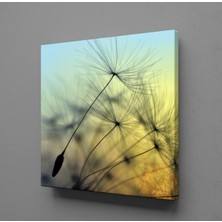 Technopa KARAHİNDİBA ÇİÇEĞİ RESMİ KANVAS TABLO - 40x40cm