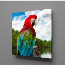 Technopa RENKLİ PAPAĞAN KANVAS TABLO - 90x90cm