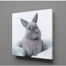 Technopa GRİ TAVŞAN KANVAS TABLO - 110x110cm