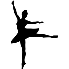 Technopa BALERİN KIZ FOLYO STİCKER - 20cm uzunluk