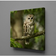 Technopa BAYKUŞ KANVAS TABLO - 30x30cm