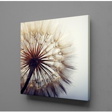 Technopa KARAHİNDİBA ÇİÇEĞİ RESİMLERİ KANVAS TABLO - 180x180cm