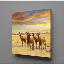 Technopa GEYİKLER KANVAS TABLO - 30x30cm