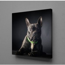 Technopa SİYAH KÖPEK KANVAS TABLO - 160x160cm