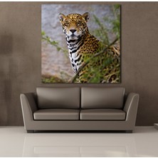 Technopa Leoparın Duruşu Kanvas Tablo 180X180CM