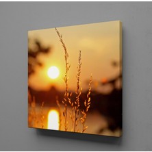 Technopa GÜN DOĞUŞU VE BATIŞI ÇİÇEKLER KANVAS TABLO - 200x200cm