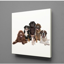 Technopa KÖPEK TOPLULUĞU KANVAS TABLO - 150x150cm