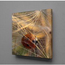 Technopa Çiçeklerin Arasında Uğur Böceği Kanvas Tablo 30X30CM