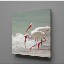 Technopa BEYAZ FLAMİNGOLAR KANVAS TABLO - 150x150cm