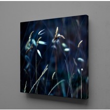 Technopa ÇİÇEK TARLASI KANVAS TABLO - 25x25cm