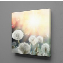 Technopa KARAHİNDİBA ÇİÇEKLERİ KANVAS TABLO - 150x150cm