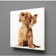 Technopa MÜZİK DİNLEYEN KÖPEK KANVAS TABLO - 30x30cm