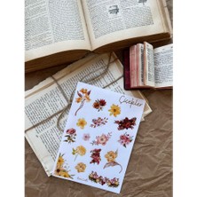 Nova Crafts Şeffaf Çiçek Sticker Sayfası