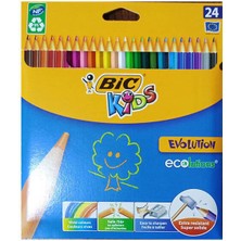 Bic Evolution Kuru Boya 24 Renk Karton Kutu (9375152)