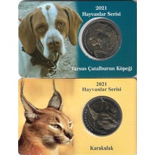 Emir Collection 2021 Yılı Tarsus Çatalburun Köpeği ve Karakulak 1 Lira Hatıra Para Özel Kitinde Çil