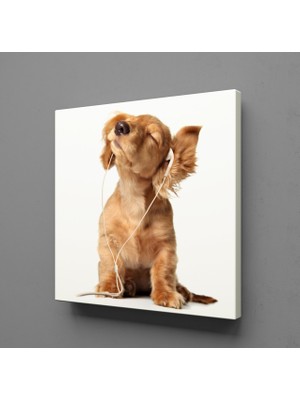 Technopa Müzik Dinleyen Köpek Kanvas Tablo 40X40CM