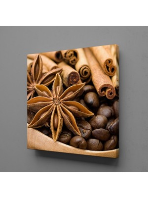 Technopa KAHVE ÇEKİRDEĞİ KANVAS TABLO - 80x80cm