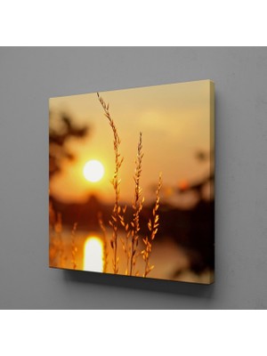 Technopa GÜN DOĞUŞU VE BATIŞI ÇİÇEKLER KANVAS TABLO - 140x140cm