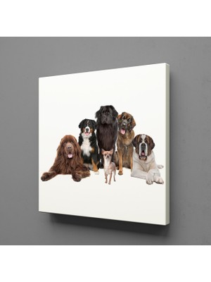 Technopa KÖPEK TOPLULUĞU KANVAS TABLO - 90x90cm