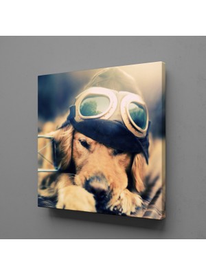 Technopa Yavru Köpek Kanvas Tablo 110X110CM