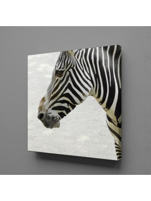 Technopa Zebra Kafası Kanvas Tablo 80X80CM