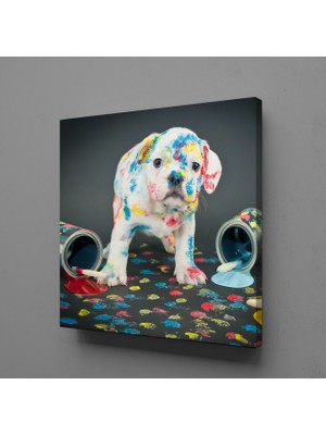 Technopa BOYA SIÇRAMIŞ BEYAZ KÖPEK KANVAS TABLO - 40x40cm