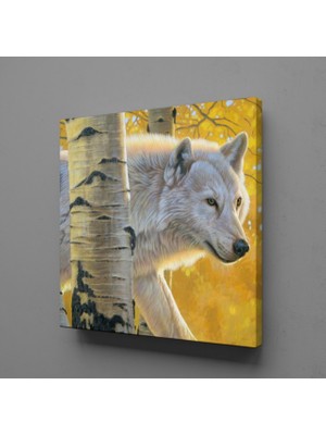 Technopa BEYAZ KURT KANVAS TABLO - 40x40cm