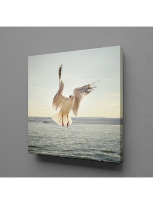 Technopa BEYAZ MARTI KANVAS TABLO - 130x130cm