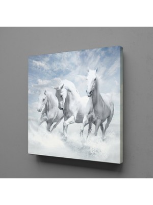 Technopa BEYAZ ATLAR ÜLKESİ KANVAS TABLO - 50x50cm