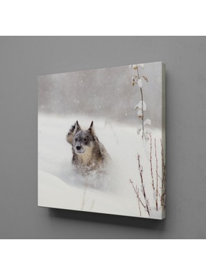 Technopa KAHVERENGİ KURT KANVAS TABLO - 70x70cm