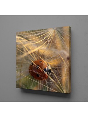 Technopa ÇİÇEKLERİN ARASINDA UĞUR BÖCEĞİ KANVAS TABLO - 90x90cm