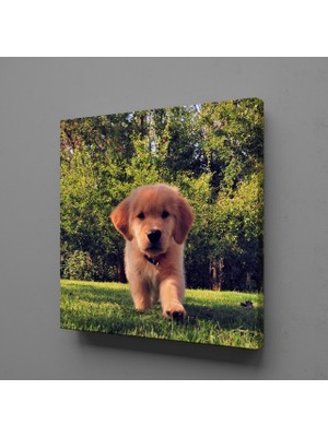 Technopa KAHVERENGİ YAVRU KÖPEK KANVAS TABLO - 60x60cm