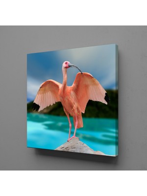 Technopa PEMBE FLAMİNGO KANVAS TABLO - 120x120cm