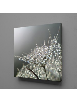 Technopa KARAHİNDİBA ÇİÇEĞİ TÜĞLERİ KANVAS TABLO - 90x90cm