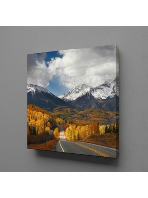 Technopa Karlı Dağlar Kanvas Tablo 40X40CM