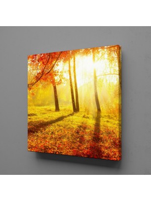 Technopa DOĞA MANZARASI KANVAS TABLO - 70x70cm