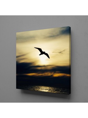 Technopa KUŞ VE DENİZ KANVAS TABLO - 80x80cm